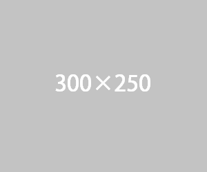 300*250